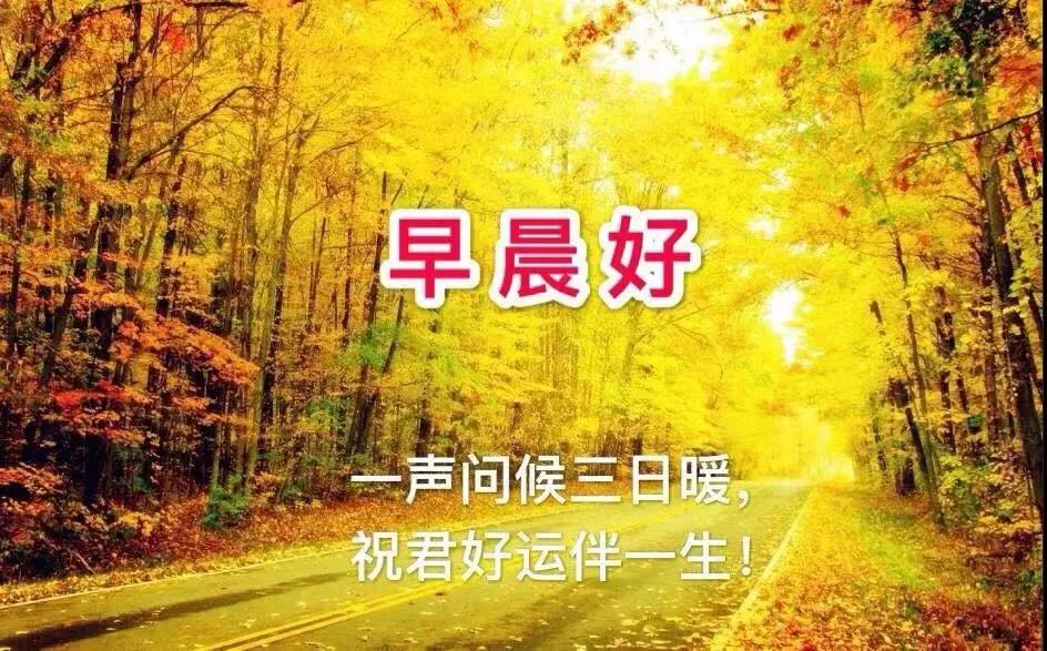 早安问候语:7张最新漂亮的秋天风景早安图片精选 唯美