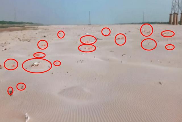 水面浮尸还不够!印度恒河岸边再出现五百多具尸体,死因仍然是谜休闲区蓝鸢梦想 - Www.slyday.coM 水面浮尸还不够!印度恒河岸边再出现五百多具尸体,死因仍然是谜休闲区蓝鸢梦想 - Www.slyday.coM