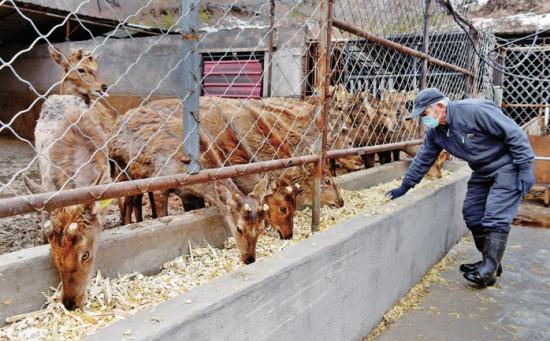 砥砺奋进谋新篇――白山市建设“一谷一城”推动乡村振兴侧记