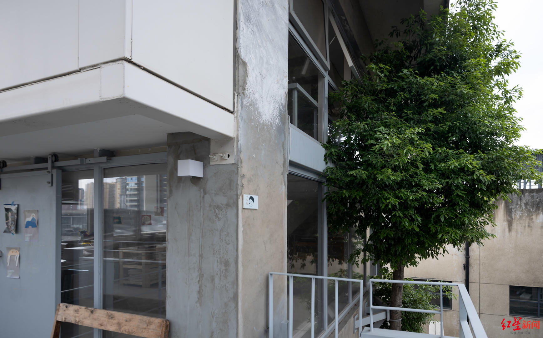 咋做到的?五楼阳台长出一棵7米高大树!休闲区蓝鸢梦想 - Www.slyday.coM 咋做到的?五楼阳台长出一棵7米高大树!休闲区蓝鸢梦想 - Www.slyday.coM