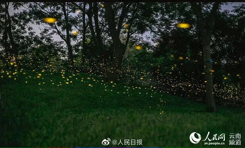 【热点】中国只需打一针的新冠疫苗,来了!休闲区蓝鸢梦想 - Www.slyday.coM 【热点】中国只需打一针的新冠疫苗,来了!休闲区蓝鸢梦想 - Www.slyday.coM