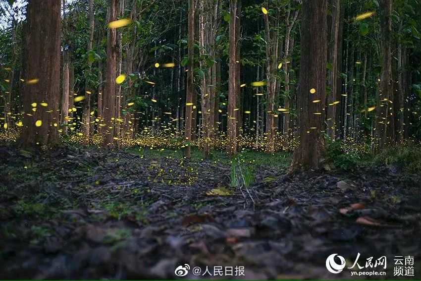 【热点】中国只需打一针的新冠疫苗,来了!休闲区蓝鸢梦想 - Www.slyday.coM 【热点】中国只需打一针的新冠疫苗,来了!休闲区蓝鸢梦想 - Www.slyday.coM