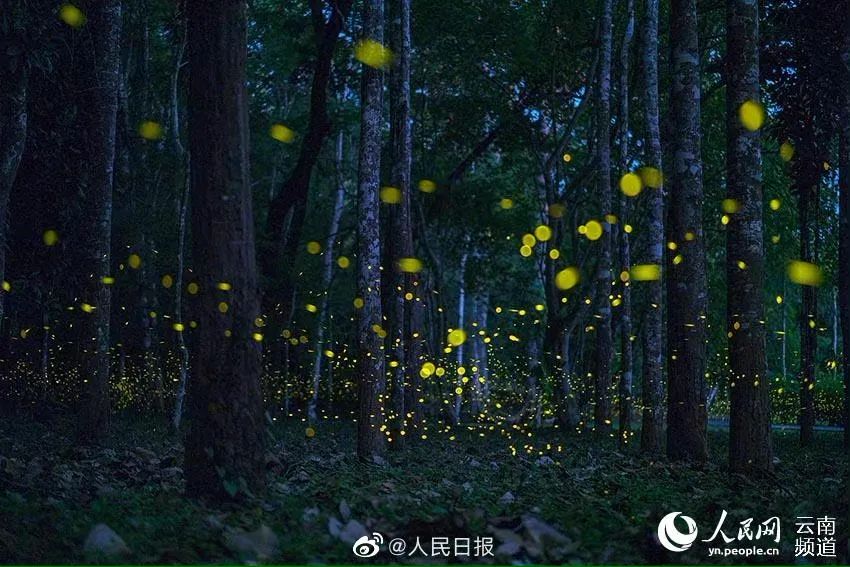 【热点】中国只需打一针的新冠疫苗,来了!休闲区蓝鸢梦想 - Www.slyday.coM 【热点】中国只需打一针的新冠疫苗,来了!休闲区蓝鸢梦想 - Www.slyday.coM