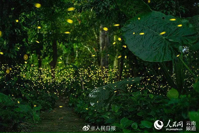 【热点】中国只需打一针的新冠疫苗,来了!休闲区蓝鸢梦想 - Www.slyday.coM 【热点】中国只需打一针的新冠疫苗,来了!休闲区蓝鸢梦想 - Www.slyday.coM