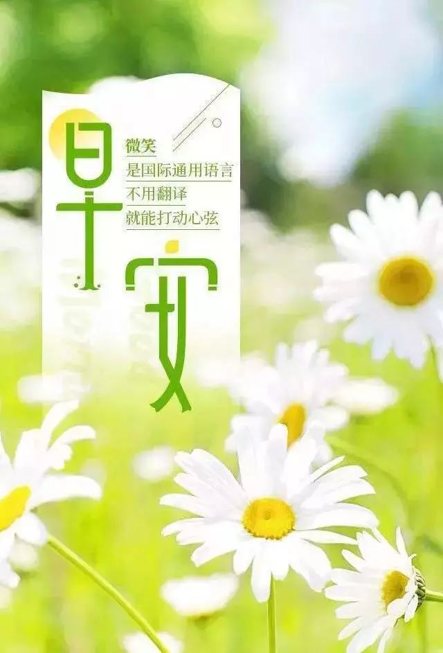 朋友圈早安心语优美的美图句子
