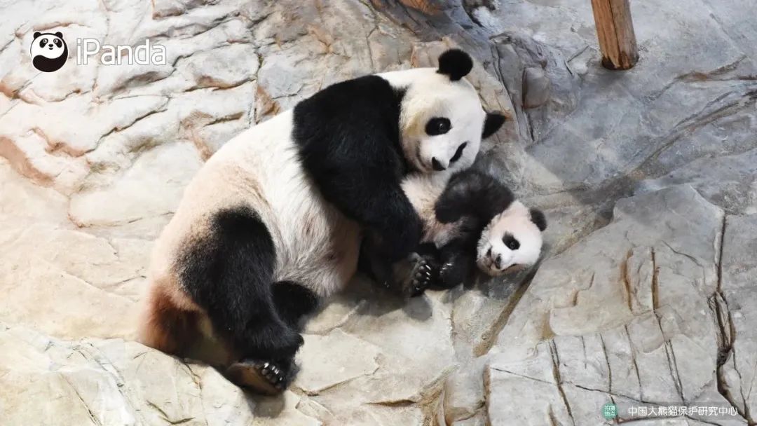 【热点】中国只需打一针的新冠疫苗,来了!休闲区蓝鸢梦想 - Www.slyday.coM 【热点】中国只需打一针的新冠疫苗,来了!休闲区蓝鸢梦想 - Www.slyday.coM