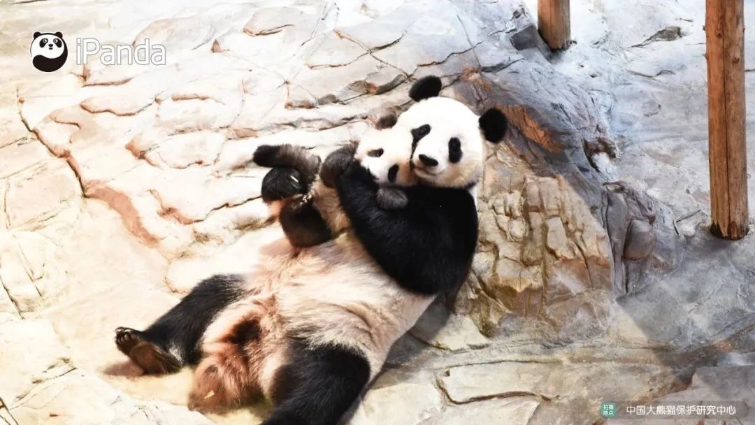 【热点】中国只需打一针的新冠疫苗,来了!休闲区蓝鸢梦想 - Www.slyday.coM 【热点】中国只需打一针的新冠疫苗,来了!休闲区蓝鸢梦想 - Www.slyday.coM