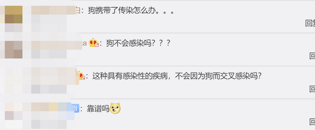 准确率达94.8%!泰国将尝试用狗筛查新冠病毒感染者……休闲区蓝鸢梦想 - Www.slyday.coM 准确率达94.8%!泰国将尝试用狗筛查新冠病毒感染者……休闲区蓝鸢梦想 - Www.slyday.coM