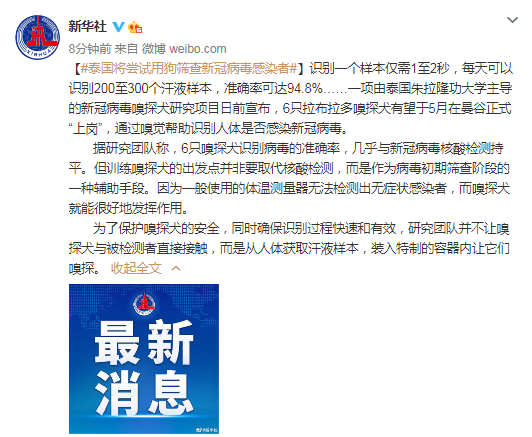 泰国将尝试用狗筛查新冠病毒感染者休闲区蓝鸢梦想 - Www.slyday.coM 泰国将尝试用狗筛查新冠病毒感染者休闲区蓝鸢梦想 - Www.slyday.coM