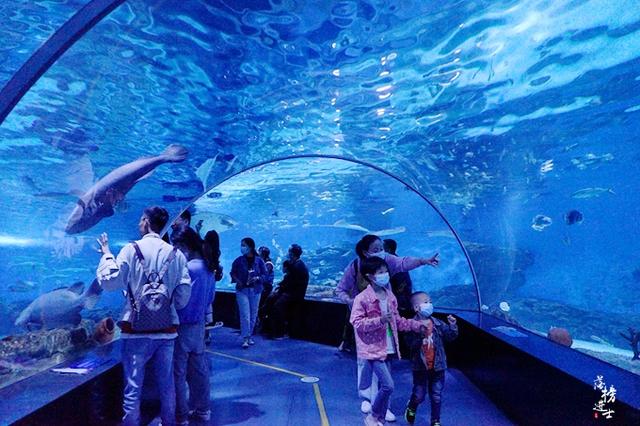 天津海昌极地海洋馆这里的夜宿吸引了众多游客你体验过吗
