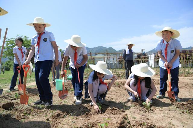 曲江新区首批中小学生劳动实践教育基地授牌小学生们农博园内学耕种