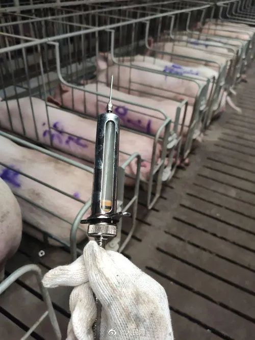 雷阵雨+阵雨!11市雨雨雨|紧急寻人!河北1地最新通告|钟南山:未来可能要定期打新冠疫苗休闲区蓝鸢梦想 - Www.slyday.coM 雷阵雨+阵雨!11市雨雨雨|紧急寻人!河北1地最新通告|钟南山:未来可能要定期打新冠疫苗休闲区蓝鸢梦想 - Www.slyday.coM