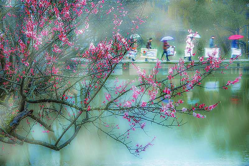 杏花春雨江南
