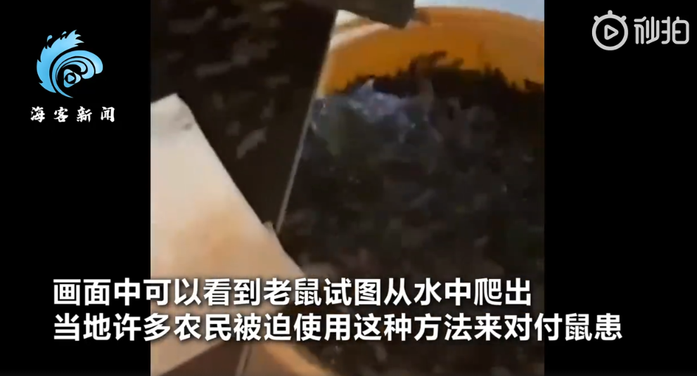 雷阵雨+阵雨!11市雨雨雨|紧急寻人!河北1地最新通告|钟南山:未来可能要定期打新冠疫苗休闲区蓝鸢梦想 - Www.slyday.coM 雷阵雨+阵雨!11市雨雨雨|紧急寻人!河北1地最新通告|钟南山:未来可能要定期打新冠疫苗休闲区蓝鸢梦想 - Www.slyday.coM