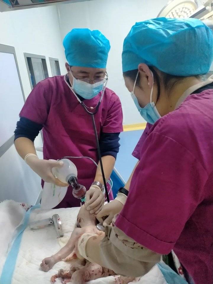 此时尚在手术台上的产妇又低置胎盘,开始出血.