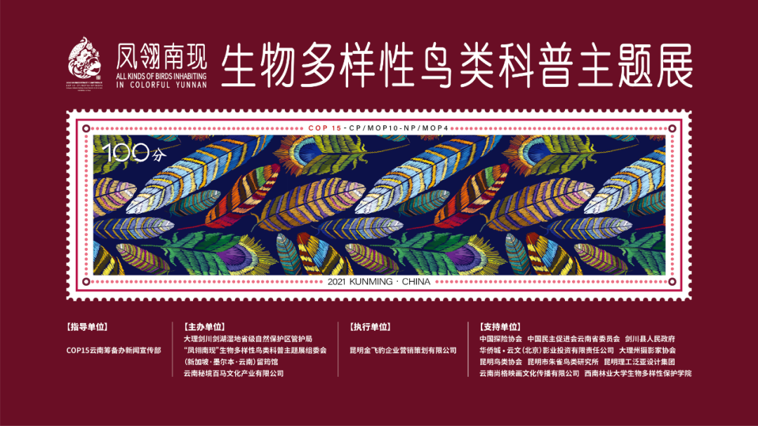 cop15生物多样性的绘画,cop15生物多样性素材 cop15凤翎南现生物多样性鸟类科普主题展即将开展