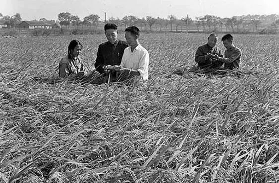 终是谣言成真,一起送别国之脊梁:袁隆平!休闲区蓝鸢梦想 - Www.slyday.coM 终是谣言成真,一起送别国之脊梁:袁隆平!休闲区蓝鸢梦想 - Www.slyday.coM