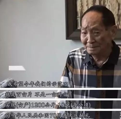 一生浸在稻田里,功勋写在大地上!缅怀国之脊梁袁隆平!休闲区蓝鸢梦想 - Www.slyday.coM 一生浸在稻田里,功勋写在大地上!缅怀国之脊梁袁隆平!休闲区蓝鸢梦想 - Www.slyday.coM