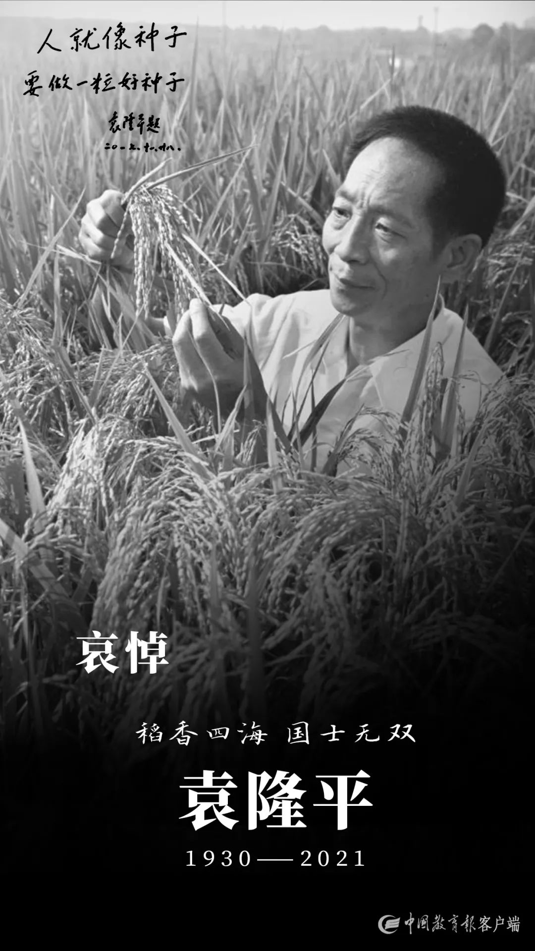 一生浸在稻田里,功勋写在大地上!缅怀国之脊梁袁隆平!休闲区蓝鸢梦想 - Www.slyday.coM 一生浸在稻田里,功勋写在大地上!缅怀国之脊梁袁隆平!休闲区蓝鸢梦想 - Www.slyday.coM