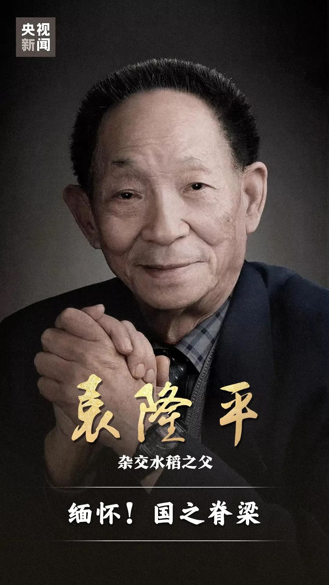 痛别!国之脊梁袁隆平院士休闲区蓝鸢梦想 - Www.slyday.coM 痛别!国之脊梁袁隆平院士休闲区蓝鸢梦想 - Www.slyday.coM