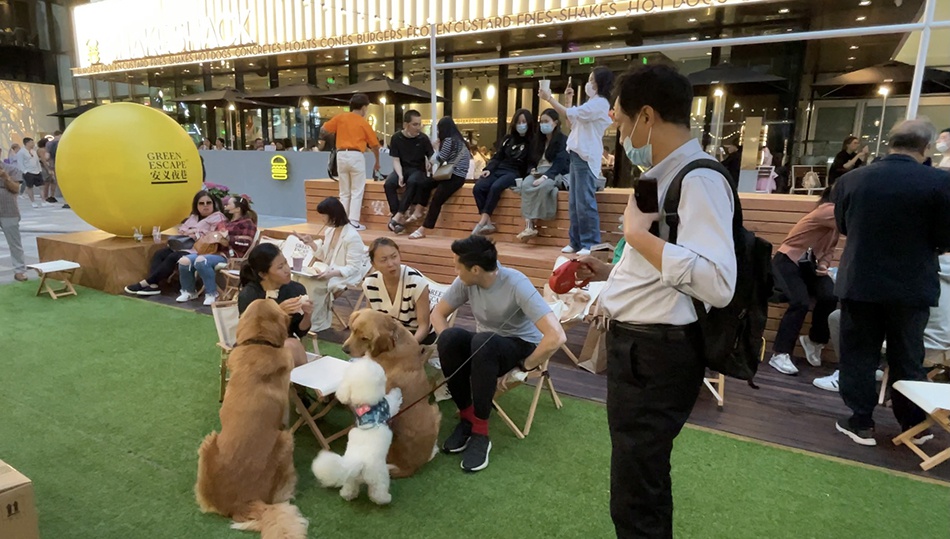 安义夜巷里，市民们带着宠物休息