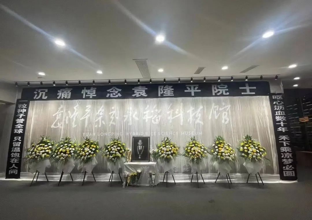 四川人快去!成都开设袁隆平吊唁堂,送他最后一程!休闲区蓝鸢梦想 - Www.slyday.coM 四川人快去!成都开设袁隆平吊唁堂,送他最后一程!休闲区蓝鸢梦想 - Www.slyday.coM