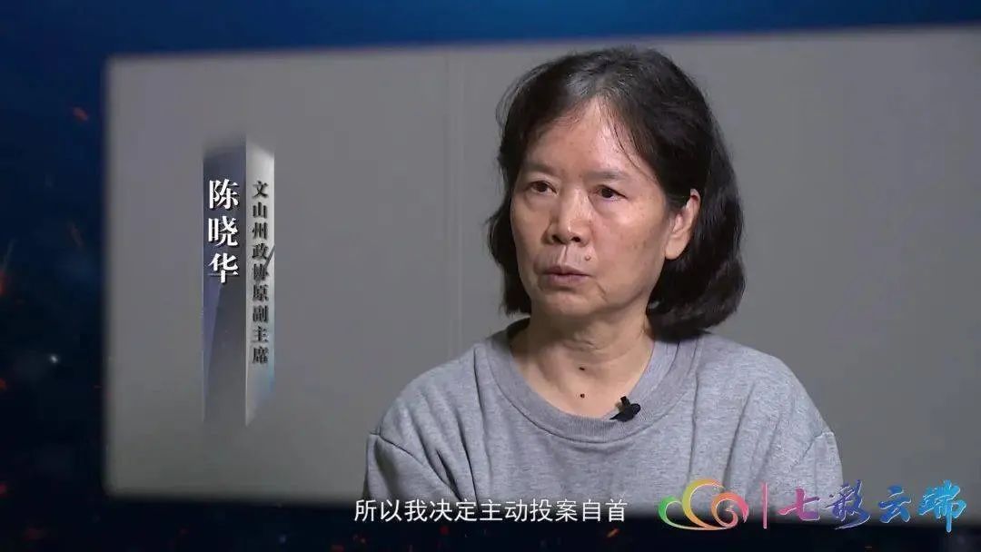 云南一厅官大肆受贿主动投案办案人员揭开了文山房地产开发乱象的盖子