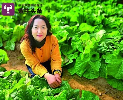 【紫牛头条】南大女博士放弃200万年薪,回村养蚯蚓,为的是把大棚种成森林休闲区蓝鸢梦想 - Www.slyday.coM 【紫牛头条】南大女博士放弃200万年薪,回村养蚯蚓,为的是把大棚种成森林休闲区蓝鸢梦想 - Www.slyday.coM