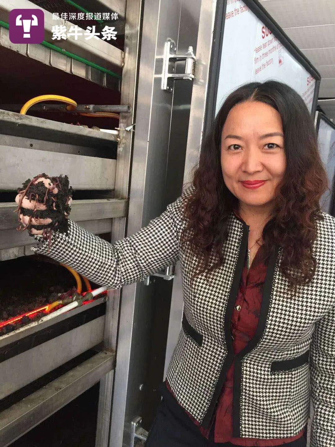 【紫牛头条】南大女博士放弃200万年薪,回村养蚯蚓,为的是把大棚种成森林休闲区蓝鸢梦想 - Www.slyday.coM 【紫牛头条】南大女博士放弃200万年薪,回村养蚯蚓,为的是把大棚种成森林休闲区蓝鸢梦想 - Www.slyday.coM