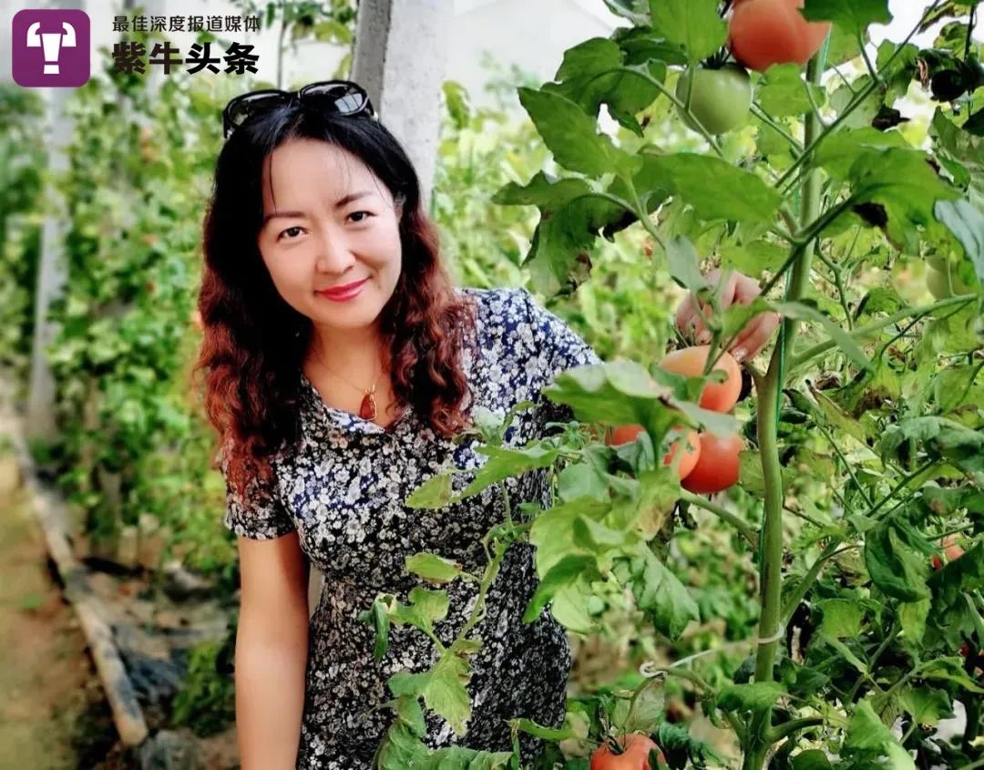 【紫牛头条】南大女博士放弃200万年薪,回村养蚯蚓,为的是把大棚种成森林休闲区蓝鸢梦想 - Www.slyday.coM 【紫牛头条】南大女博士放弃200万年薪,回村养蚯蚓,为的是把大棚种成森林休闲区蓝鸢梦想 - Www.slyday.coM