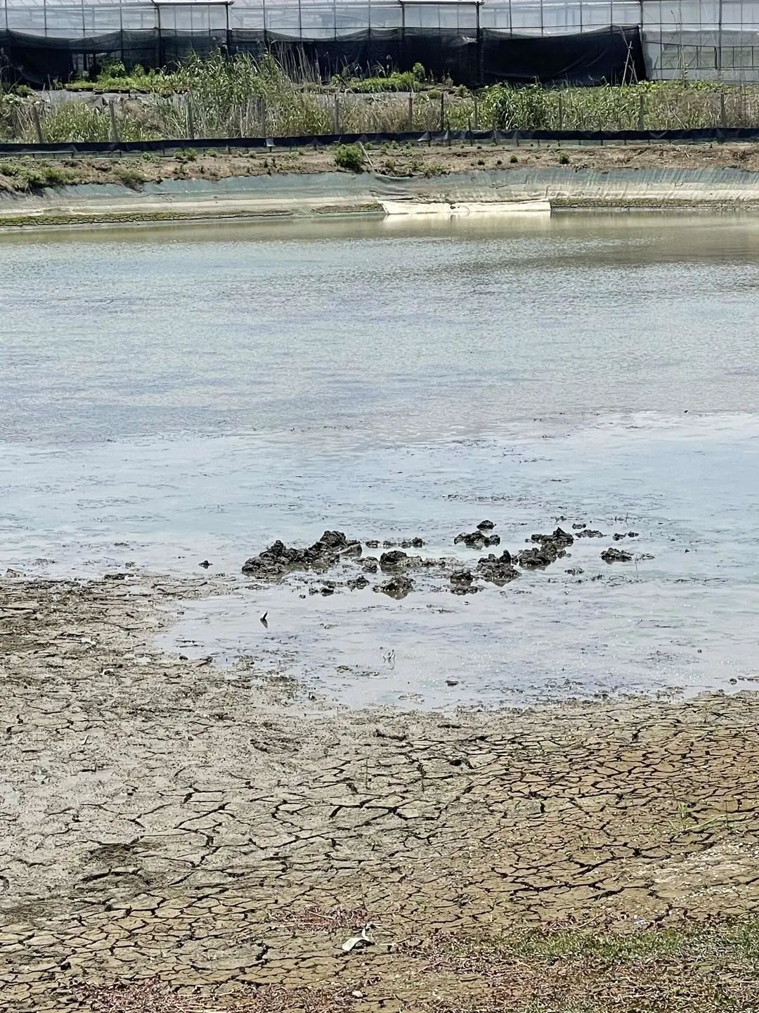 突然一声巨响!浙江一地上空坠下不明物体,挖了1米多还没挖到!休闲区蓝鸢梦想 - Www.slyday.coM 突然一声巨响!浙江一地上空坠下不明物体,挖了1米多还没挖到!休闲区蓝鸢梦想 - Www.slyday.coM