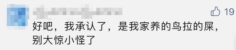 一声巨响!浙江一鱼塘坠入不明物体,掘地1米多深,挖了3天还没挖到休闲区蓝鸢梦想 - Www.slyday.coM 一声巨响!浙江一鱼塘坠入不明物体,掘地1米多深,挖了3天还没挖到休闲区蓝鸢梦想 - Www.slyday.coM