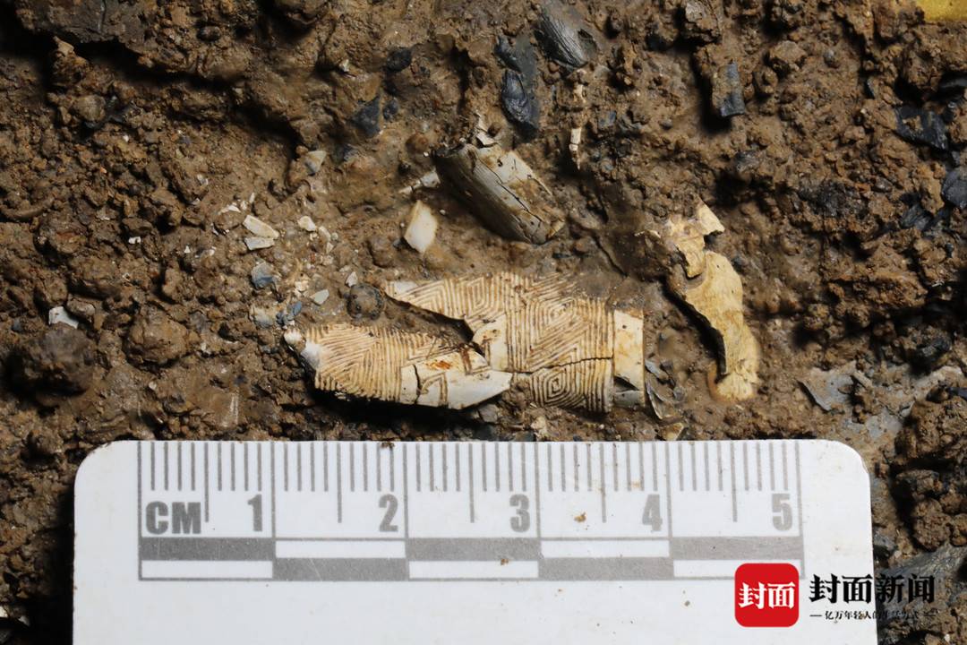 考古青年说|四川省文物考古研究院三星堆考古研究所所长冉宏林:三星堆两次发掘一共提取了211根象牙休闲区蓝鸢梦想 - Www.slyday.coM 考古青年说|四川省文物考古研究院三星堆考古研究所所长冉宏林:三星堆两次发掘一共提取了211根象牙休闲区蓝鸢梦想 - Www.slyday.coM