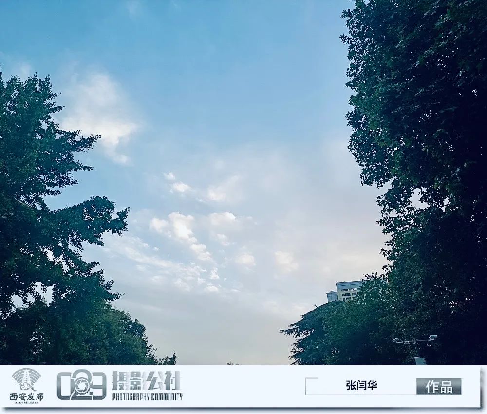 早安·西安丨秦岭第10次发现野生棕色大熊猫休闲区蓝鸢梦想 - Www.slyday.coM 早安·西安丨秦岭第10次发现野生棕色大熊猫休闲区蓝鸢梦想 - Www.slyday.coM