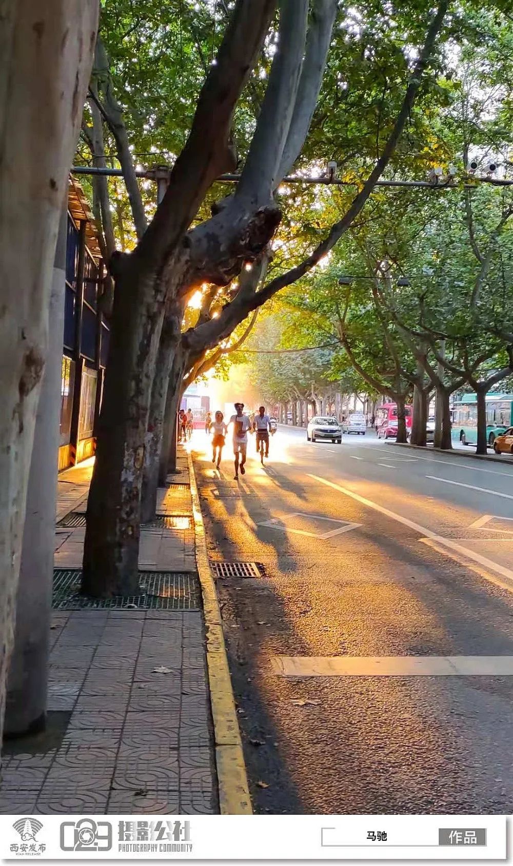 早安·西安丨秦岭第10次发现野生棕色大熊猫休闲区蓝鸢梦想 - Www.slyday.coM 早安·西安丨秦岭第10次发现野生棕色大熊猫休闲区蓝鸢梦想 - Www.slyday.coM