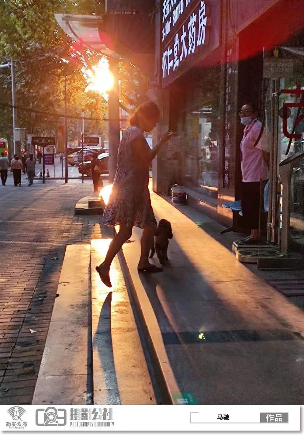 早安·西安丨秦岭第10次发现野生棕色大熊猫休闲区蓝鸢梦想 - Www.slyday.coM 早安·西安丨秦岭第10次发现野生棕色大熊猫休闲区蓝鸢梦想 - Www.slyday.coM