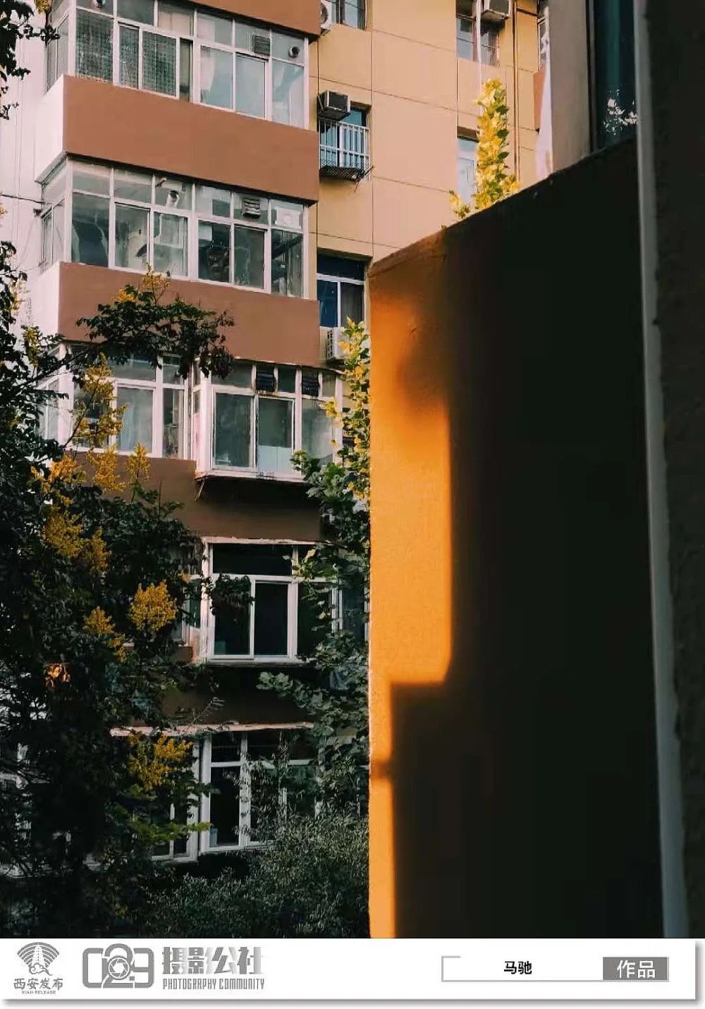 早安·西安丨秦岭第10次发现野生棕色大熊猫休闲区蓝鸢梦想 - Www.slyday.coM 早安·西安丨秦岭第10次发现野生棕色大熊猫休闲区蓝鸢梦想 - Www.slyday.coM