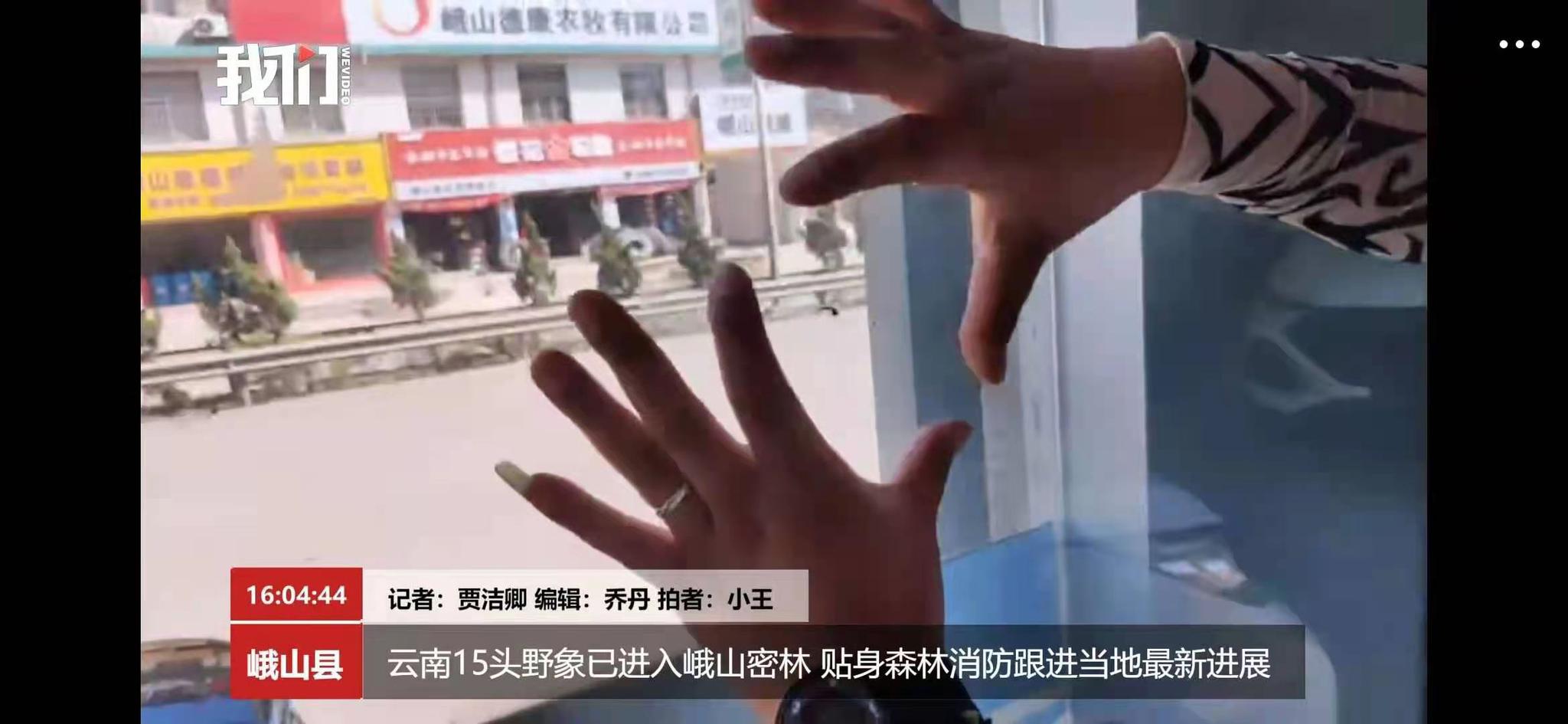 一头体型中等的亚洲象在一家汽车销售处的玻璃门上留下了“鼻印”,店员在对应位置用手比划印记大小。新京报我们视频截图