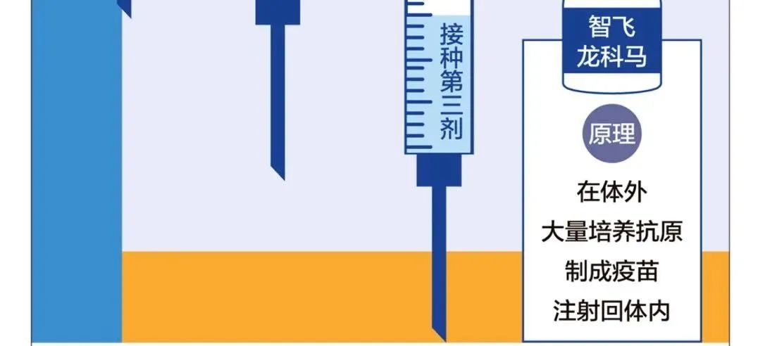 北京一针疫苗哪里打?挑哪一种?多地即将暂停接种第一针疫苗?!真相来了!休闲区蓝鸢梦想 - Www.slyday.coM 北京一针疫苗哪里打?挑哪一种?多地即将暂停接种第一针疫苗?!真相来了!休闲区蓝鸢梦想 - Www.slyday.coM