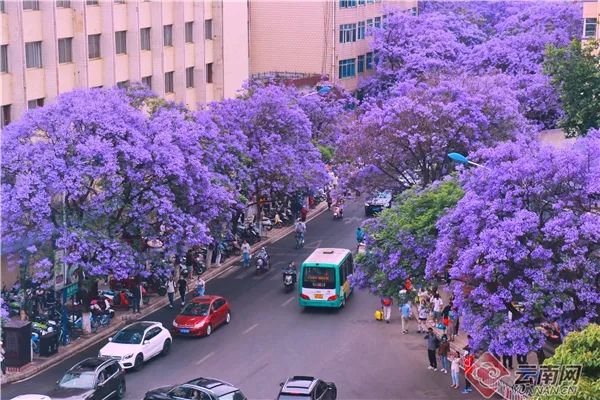 昆明教场中路成热门打卡地 毕芃 摄