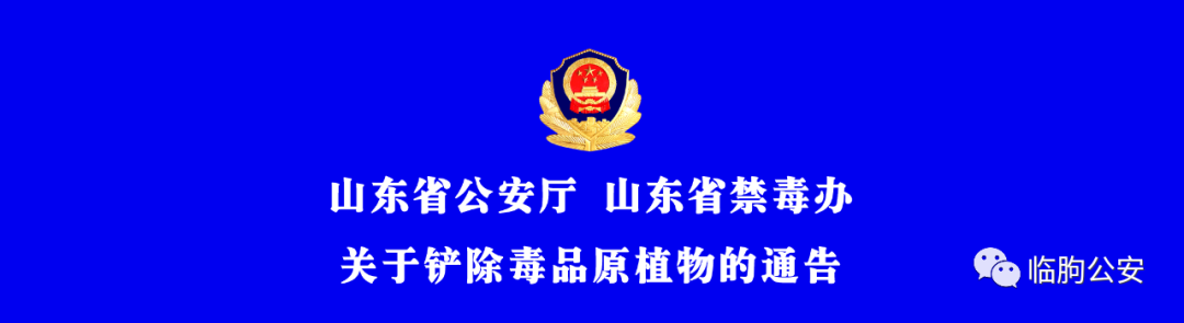 五一我在岗休闲区蓝鸢梦想 - Www.slyday.coM 五一我在岗休闲区蓝鸢梦想 - Www.slyday.coM