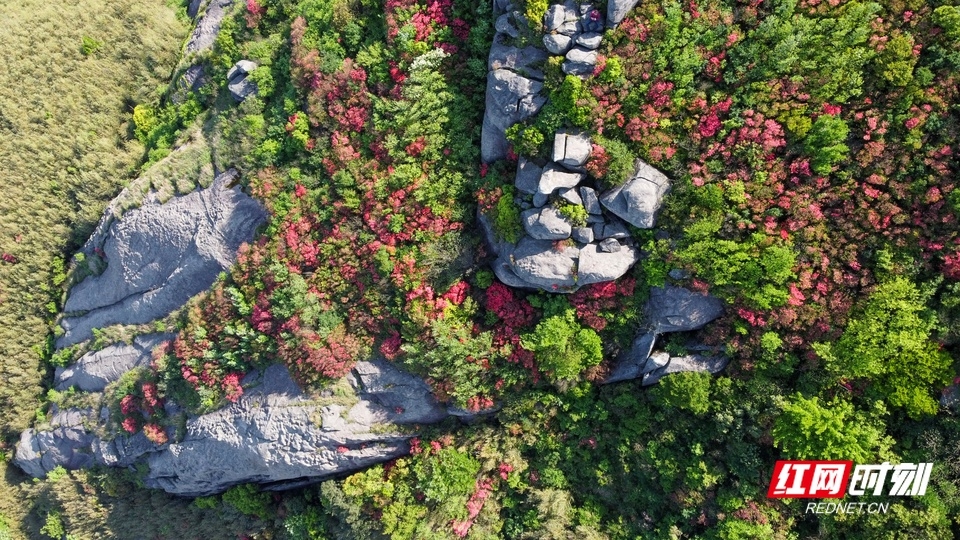 南岳景区三千党员干部取消五一休假 为游客保驾护航休闲区蓝鸢梦想 - Www.slyday.coM 南岳景区三千党员干部取消五一休假 为游客保驾护航休闲区蓝鸢梦想 - Www.slyday.coM