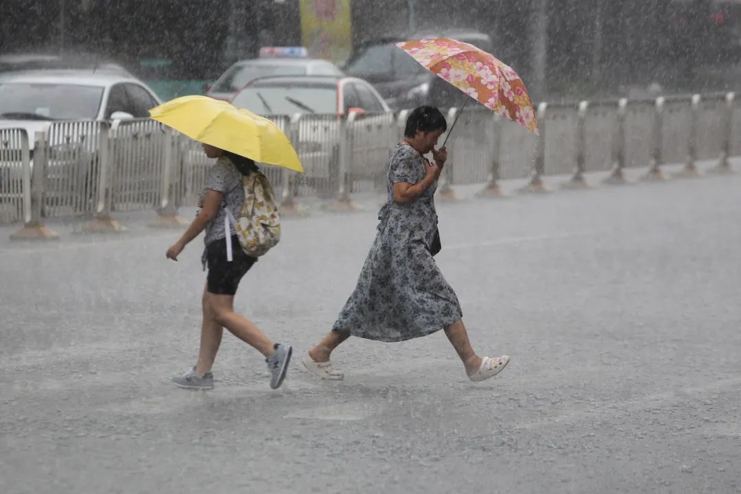 中到大雨 阵风9级!今起,河北大范围降雨上线