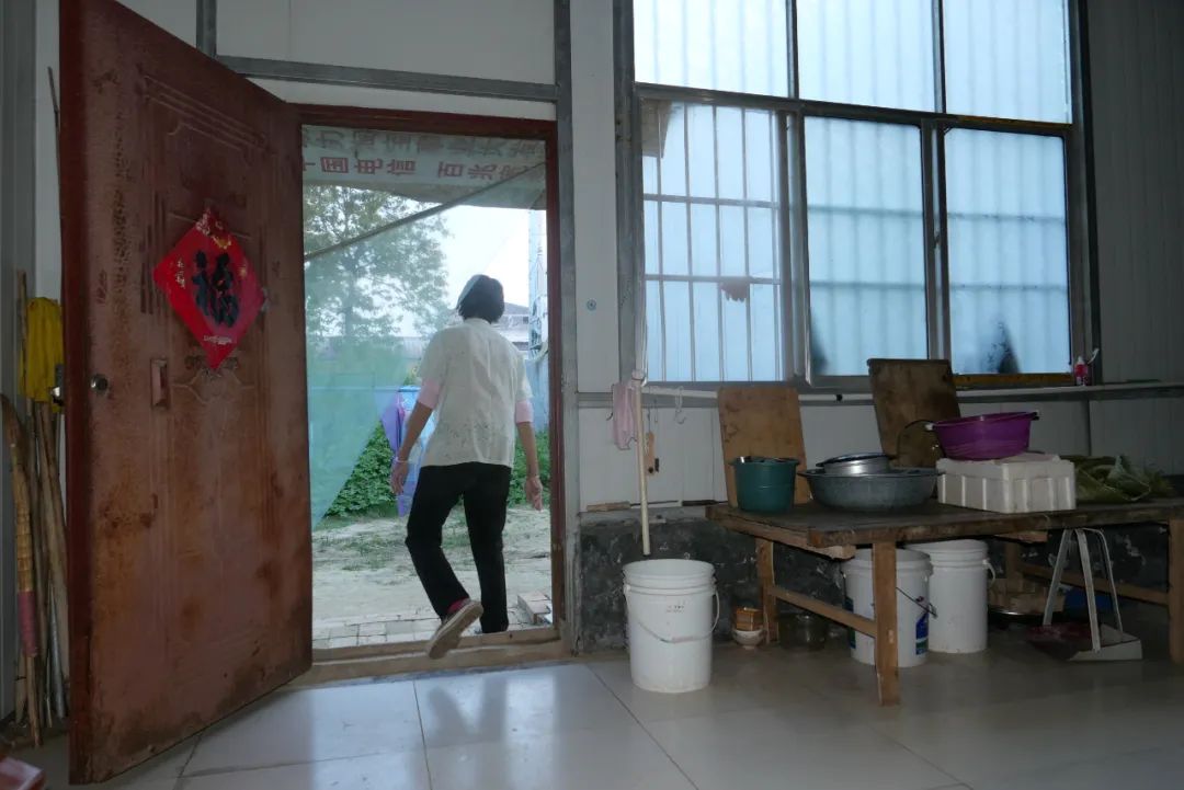 ▲从徐伟夫妇家仓库后门走出,是一片菜地,徐伟的父母一天中大多数的时间都待在这边。