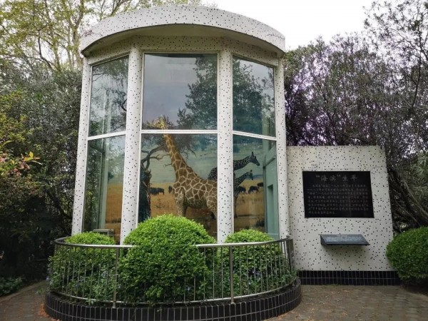 太过分!竟有游客喂小熊喝冰红茶,害它呕吐!上海动物园呼吁不要投喂!休闲区蓝鸢梦想 - Www.slyday.coM 太过分!竟有游客喂小熊喝冰红茶,害它呕吐!上海动物园呼吁不要投喂!休闲区蓝鸢梦想 - Www.slyday.coM