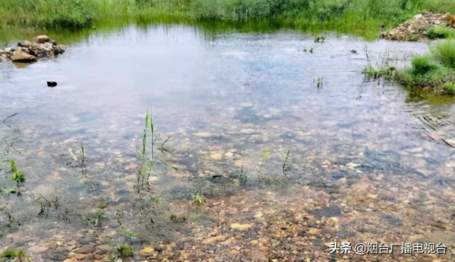 五四青年节,问政烟台记者又出发了休闲区蓝鸢梦想 - Www.slyday.coM 五四青年节,问政烟台记者又出发了休闲区蓝鸢梦想 - Www.slyday.coM