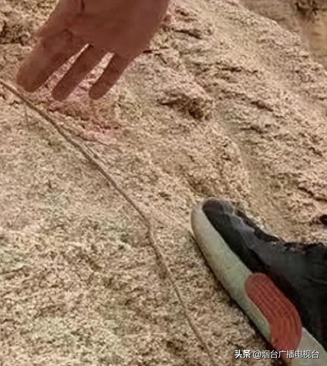 五四青年节,问政烟台记者又出发了休闲区蓝鸢梦想 - Www.slyday.coM 五四青年节,问政烟台记者又出发了休闲区蓝鸢梦想 - Www.slyday.coM