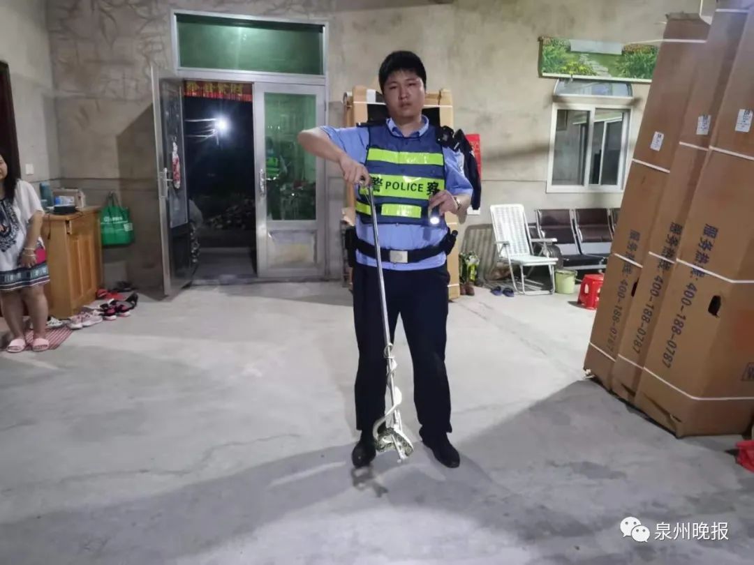 惊魂!泉州一女子半夜醒来,床头柜上竟有一条长蛇休闲区蓝鸢梦想 - Www.slyday.coM 惊魂!泉州一女子半夜醒来,床头柜上竟有一条长蛇休闲区蓝鸢梦想 - Www.slyday.coM