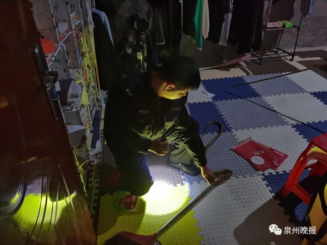 惊魂!泉州一女子半夜醒来,床头柜上竟有一条长蛇休闲区蓝鸢梦想 - Www.slyday.coM 惊魂!泉州一女子半夜醒来,床头柜上竟有一条长蛇休闲区蓝鸢梦想 - Www.slyday.coM