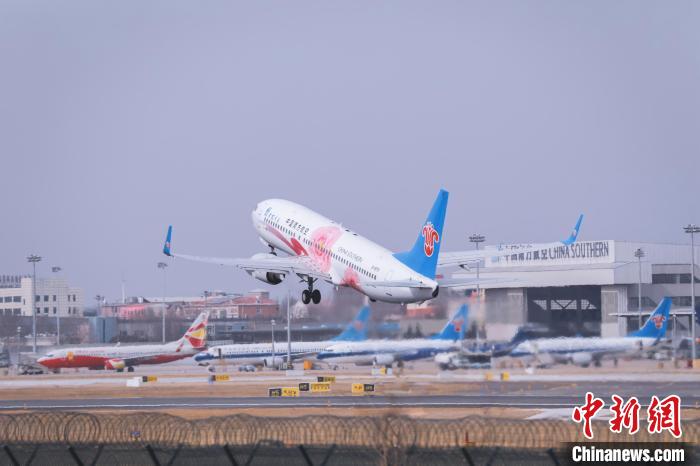 河南2021年人口_河南人口分布图(2)